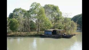 紅色水鄉，詩畫沙家浜——一段穿越歷史與自然的旅程